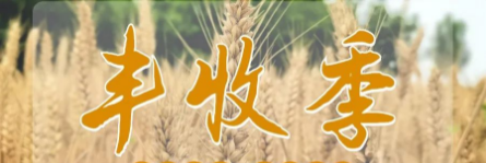 &ldquo;皖&rdquo;里有糧 | 安徽正宇集...