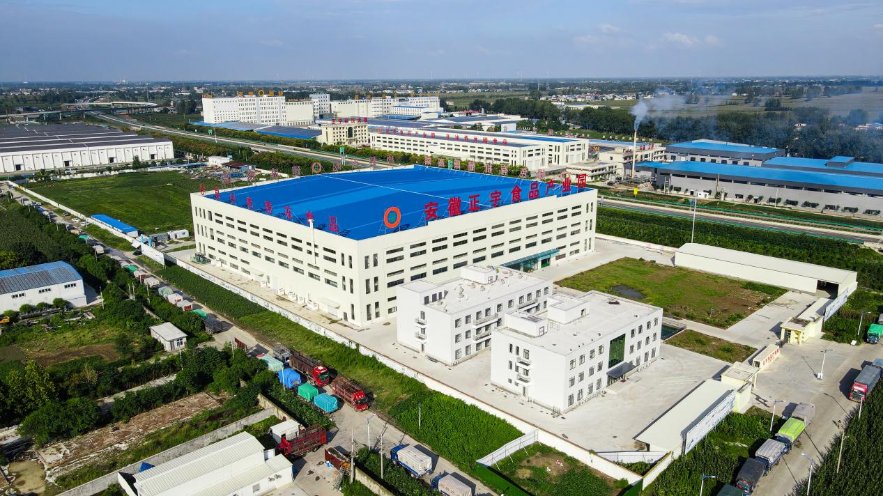 &ldquo;媒&rdquo;好正宇丨&ldquo;渦陽(yáng)之窗...